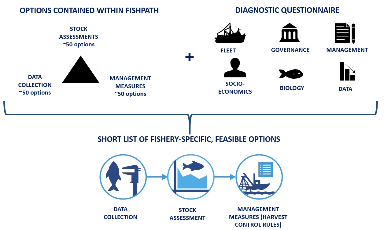 The FishPath Tool at a glance.